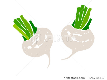 Retro hand drawn vegetable illustration, turnip 126778432