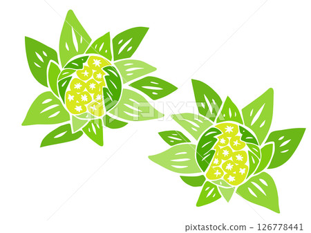 復古手繪蔬菜插圖。白屈菜 126778441