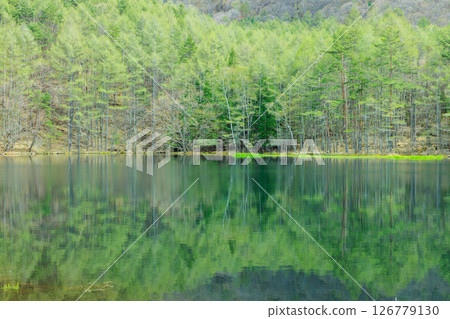 長野縣茅野市初夏的御散迦池 長野縣茅野市初夏的御散迦池 126779130