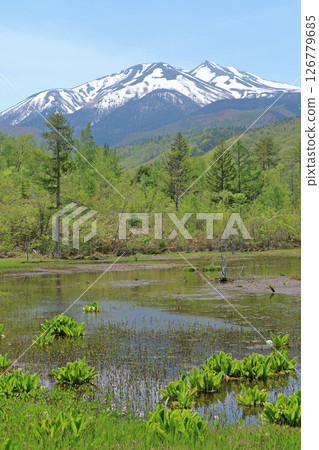 Norikura Plateau in early summer 126779685