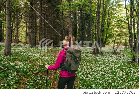 Woman Hiking through Forest Glade with Wildflowers Woman Hiking through Forest Glade with Wildflowers 126779702