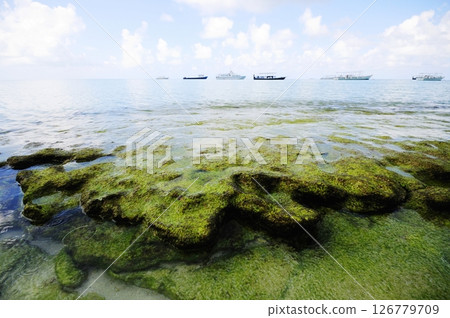 Photos of Maldives Beach 126779709