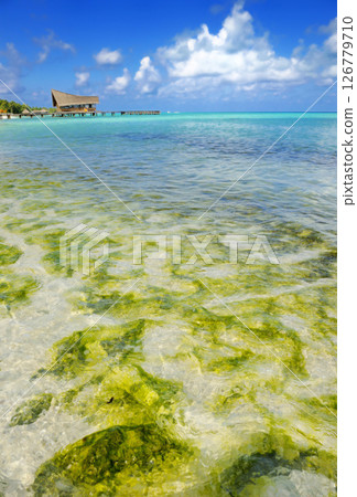 Photos of Maldives Beach 126779710