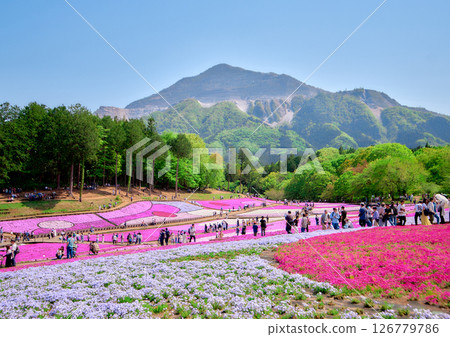 從盛開的石竹花公園眺望那須山脈 126779786