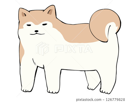 秋田犬 秋田犬 126779828