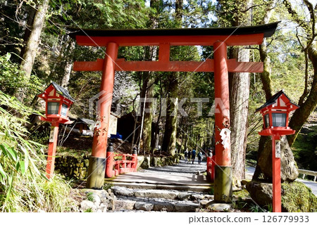 Kyoto City: The torii gates of the Kifune Shrine Okumiya approach, the Omoigawa Bridge and fresh greenery 126779933