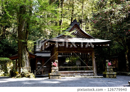 Kyoto City: The worship hall and fresh greenery at the inner shrine of Kifune Shrine Kyoto City: The worship hall and fresh greenery at the inner shrine of Kifune Shrine 126779940