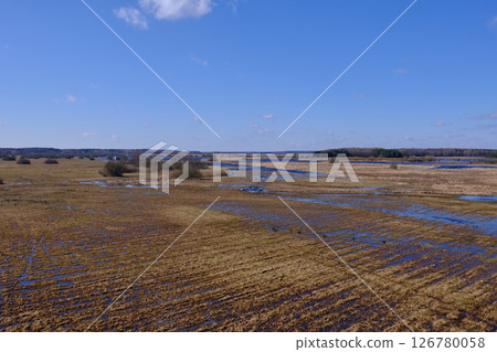 Flooded valley of Narew River in springtime Flooded valley of Narew River in springtime 126780058