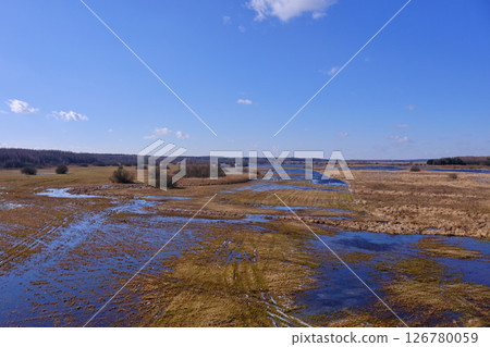 Flooded valley of Narew River in springtime 126780059