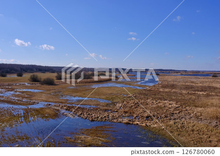 Flooded valley of Narew River in springtime 126780060