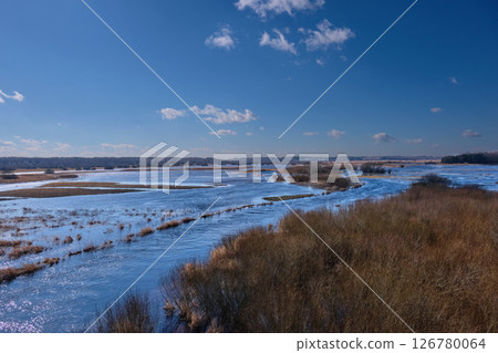 Flooded valley of Narew River in springtime 126780064
