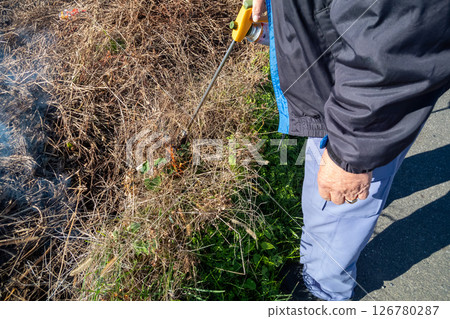 Grassy grass Grassy grass 126780287