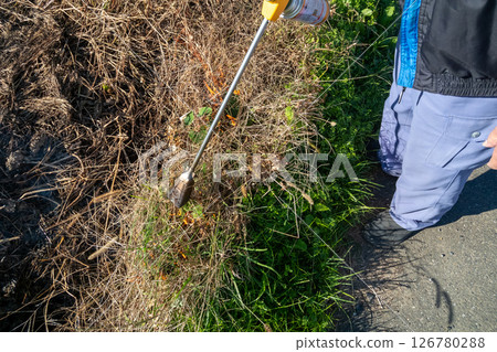 Grassy grass 126780288