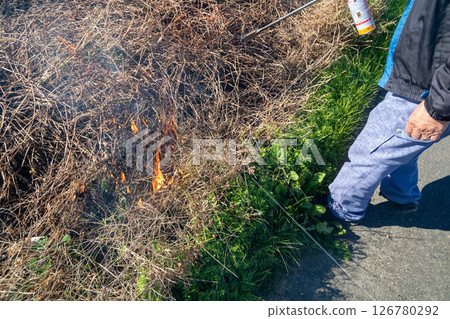 Grassy grass 126780292