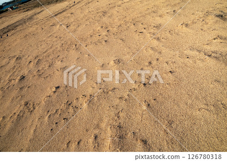 傳播稻殼 126780318