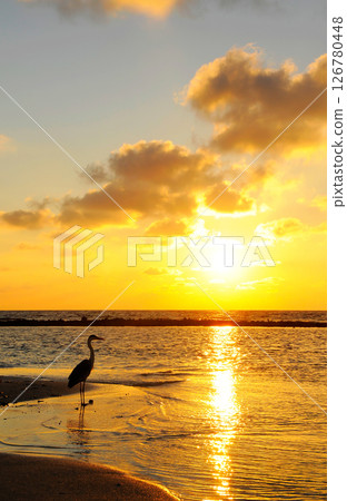 Photos of Maldives Beach 126780448