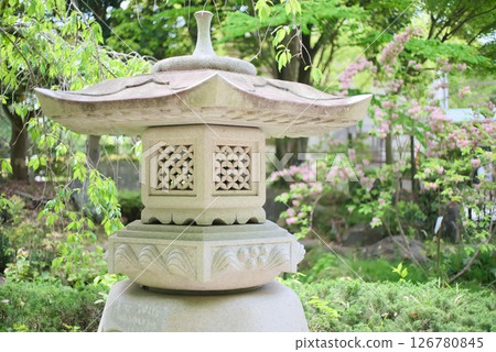 日本花園裡的石燈籠和春花 126780845