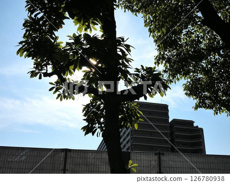[Park and apartment] Quiet residential area 126780938