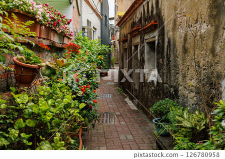 台南安平巷 台南安平巷 126780958