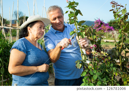 Senior man and woman maintaining garden together 126781006