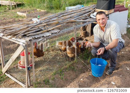 Man collecting eggs of laying hens in aviary in backyard of country house 126781009