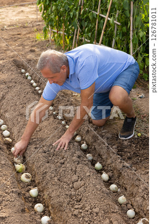 Mature man planting onion in garden 126781011