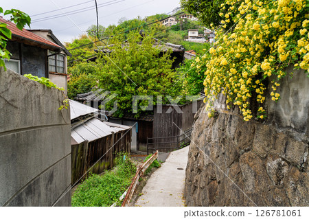 <Hiroshima Prefecture> Onomichi, a hilly town 126781061