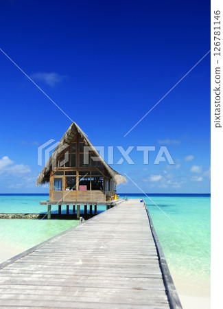 Photos of Maldives Beach Photos of Maldives Beach 126781146