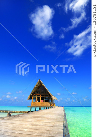 Photos of Maldives Beach Photos of Maldives Beach 126781151