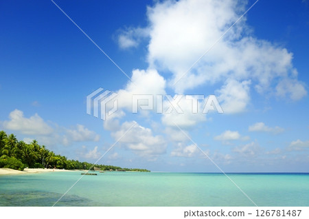 Photos of Maldives Beach Photos of Maldives Beach 126781487