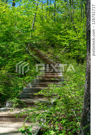 清新的綠色山路 清新的綠色山路 126781717
