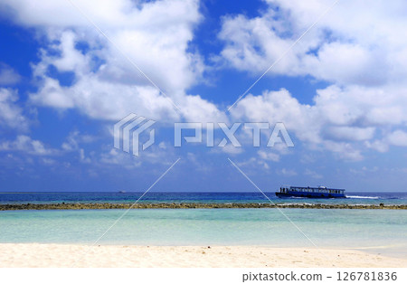 Photos of Maldives Beach Photos of Maldives Beach 126781836