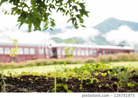 Mountains and abandoned trains 126781973