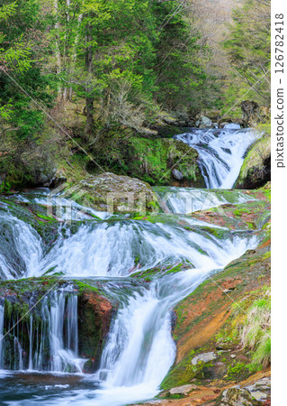 Oshidori Kakushi Falls in early summer, Chino City, Nagano Prefecture Oshidori Kakushi Falls in early summer, Chino City, Nagano Prefecture 126782418