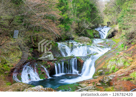 Oshidori Kakushi Falls in early summer, Chino City, Nagano Prefecture Oshidori Kakushi Falls in early summer, Chino City, Nagano Prefecture 126782420