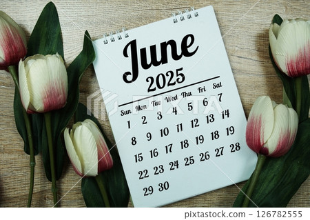 June 2025 annual monthly desk calendar for planning and management 126782555