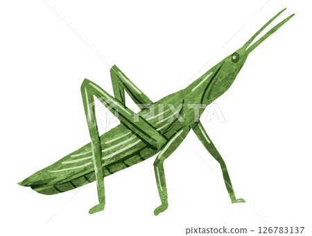 蚱蜢向量圖 126783137
