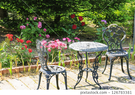 Okada Rose Garden in Full Bloom Okada Rose Garden in Full Bloom 126783381