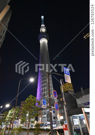 夜晚的天空樹 126783524