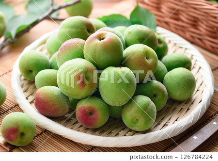 Green plum (Kishu Nanko plum) Green plum (Kishu Nanko plum) 126784224