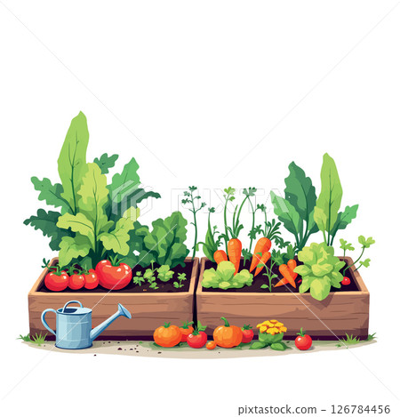 Vsai wooden planters growing fresh vegetables in a home garden 126784456