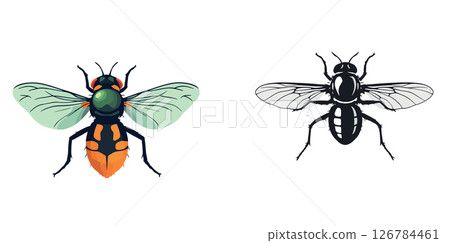 Vsai colorful fly and its silhouette showing wings and body 126784461