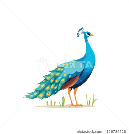 Vsai beautiful peacock showing its colorful feathers is standing in the grass 126784528