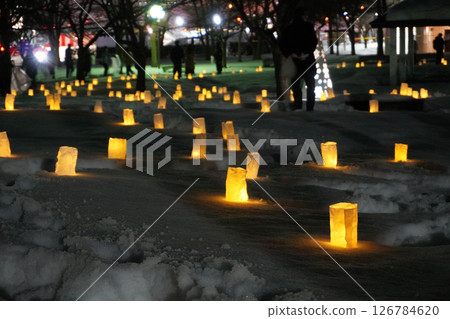 Nagaoka Snow Festival Lighting 10 126784620
