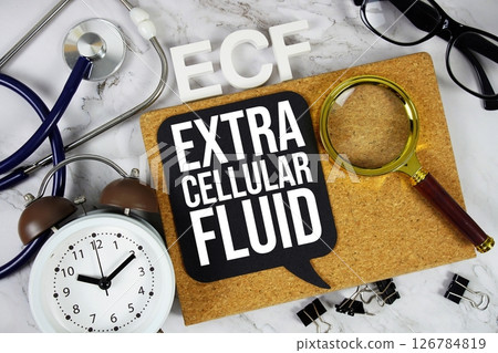 ECF - Extracellular Fluid acronym with stethoscope, magnifying glass and alarm clock, medical and healthcare concept background ECF - Extracellular Fluid acronym with stethoscope, magnifying glass and alarm clock, medical and healthcare concept background 126784819
