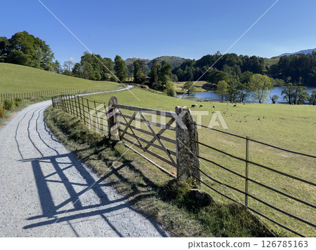 Countryside in the Lake District - Cumbria in the United Kingdom Countryside in the Lake District - Cumbria in the United Kingdom 126785163