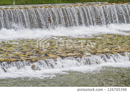 Water flowing vigorously down the weir, Takano River, Kyoto City 126785396