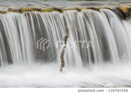 京都市高野川堰上的水流湍急 京都市高野川堰上的水流湍急 126785398
