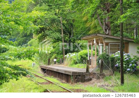 小湊鐵道“掩映在新綠山林中的上總大久保站” 126785463