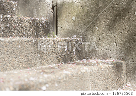Late spring, cherry blossom petals pile up on the stairs, fallen cherry blossom petals collect in the alley 126785508